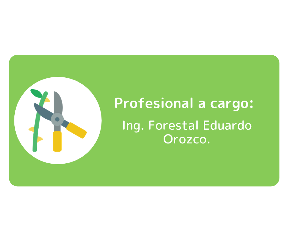 Profesional a cargo: ingeniero forestal eduardo orozco